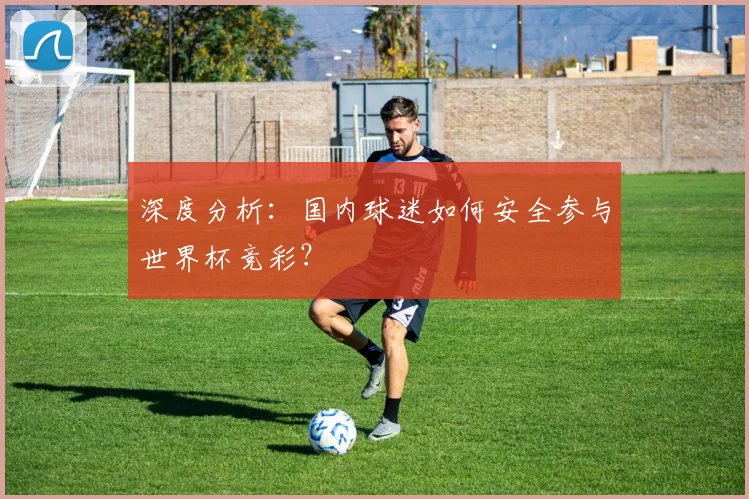 深度分析：国内球迷如何安全参与世界杯竞彩？
