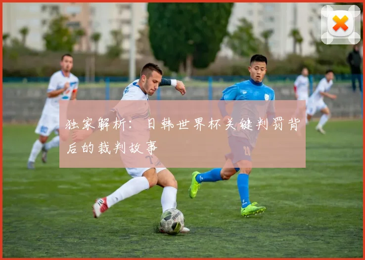 独家解析：日韩世界杯关键判罚背后的裁判故事